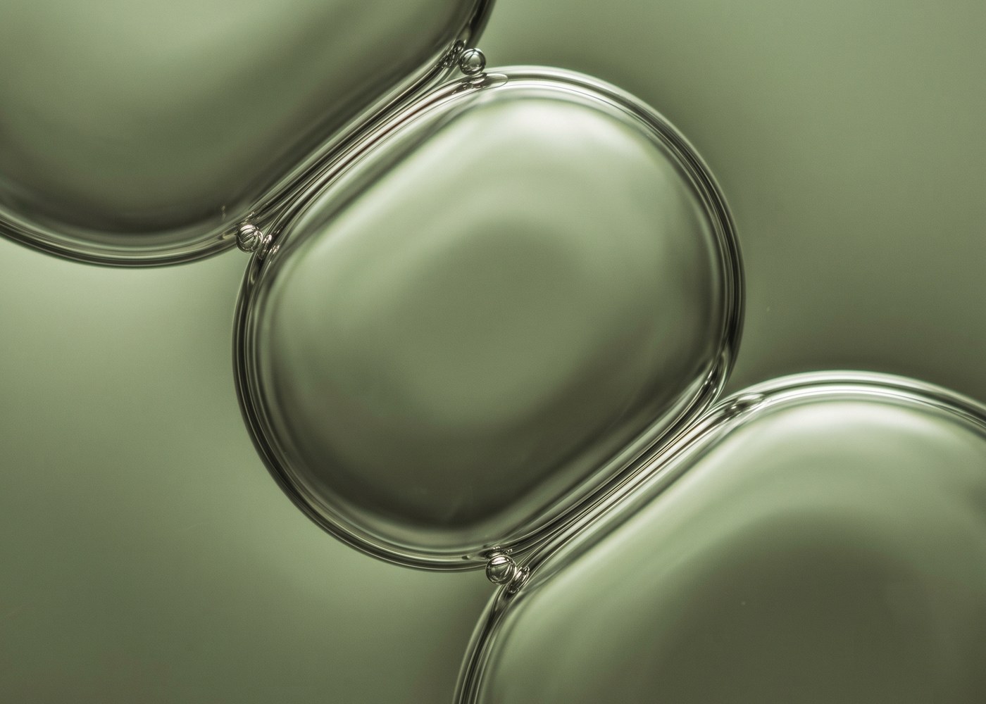 Abstraktes Stimmungsbild in gedeckten Naturtönen, eine Kette großer klarer Blasen in weichem Grün