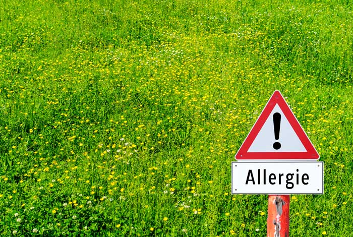 Allergien